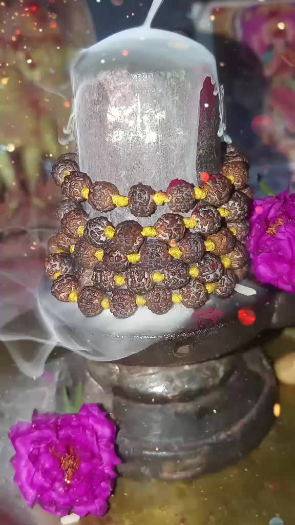 @user6579165426559