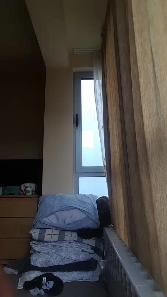 @amaya.alfredo.torres