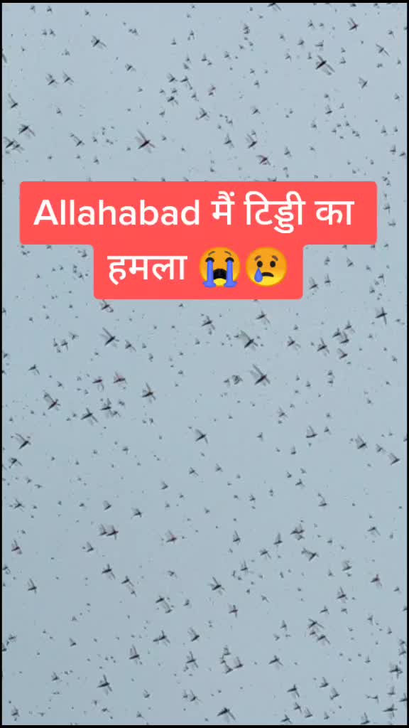 @shanukhan775502