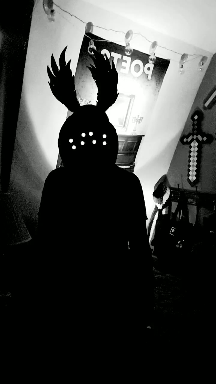 @Felis Tenebris