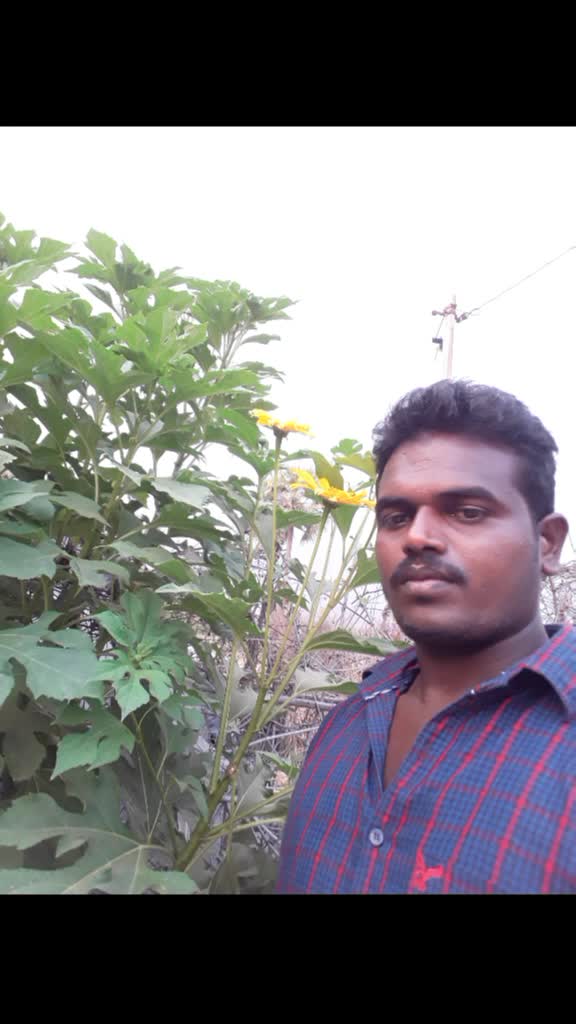 @RamaRao Yadav