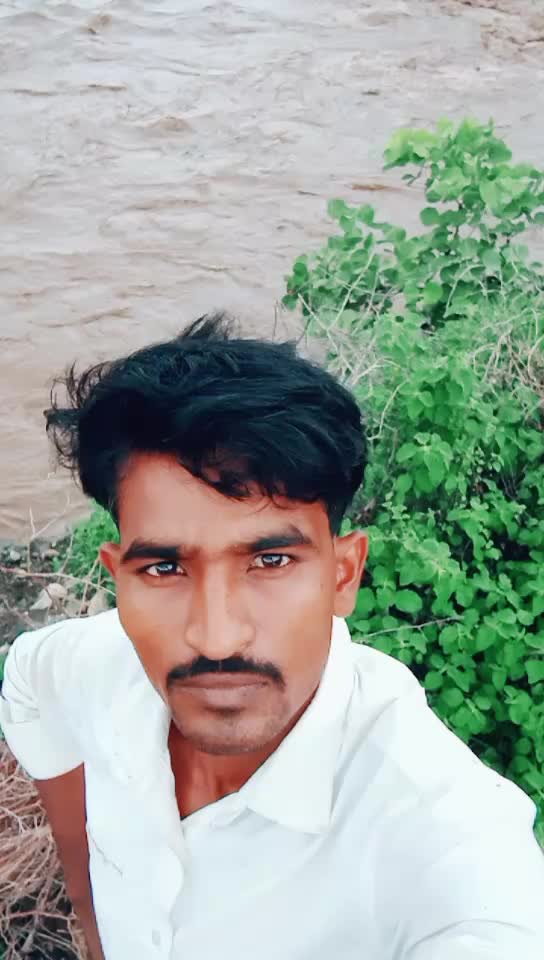 @user711863464504