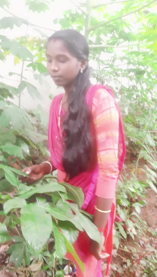 @Sree Nanda