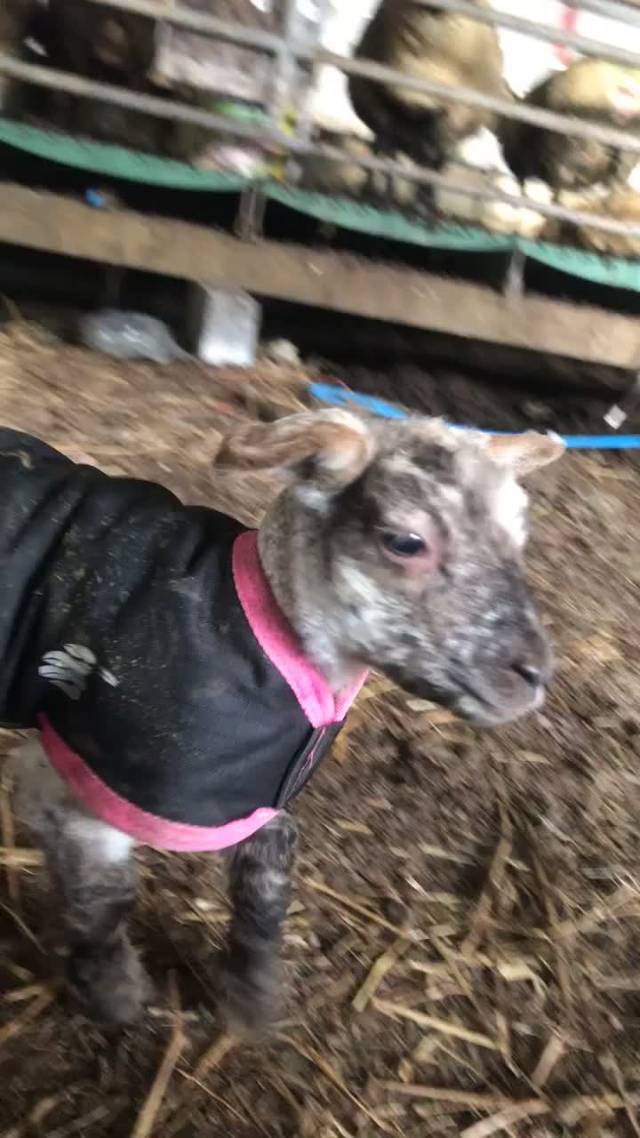 @FARMvisor