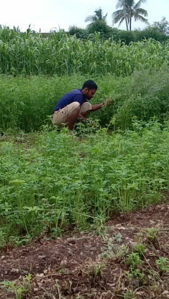 @Bhagvat thavare