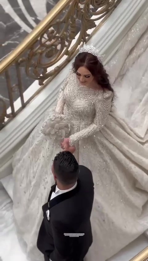 @Dressaro