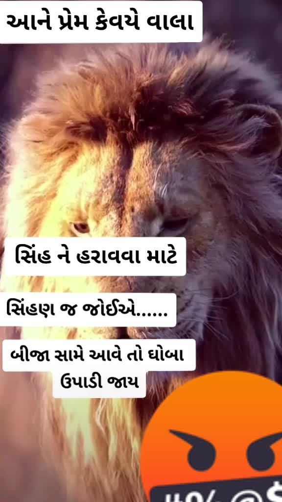 @gandi_gir_ni_sihan