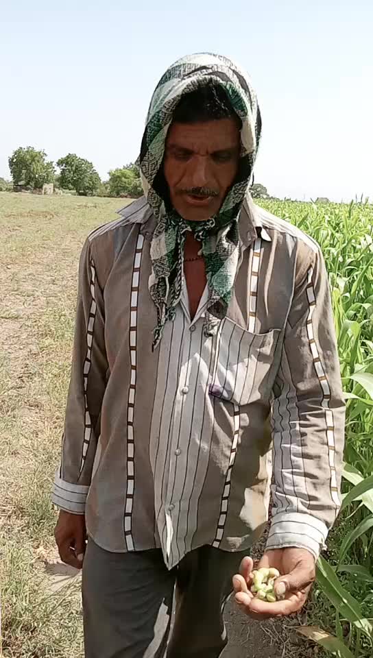 @bambhava kishan