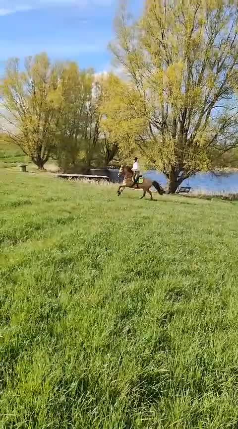 @đŠ