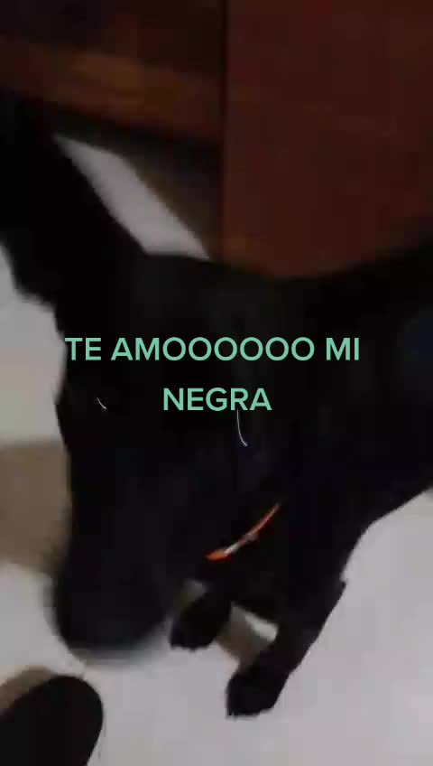 @Monica Pedraza