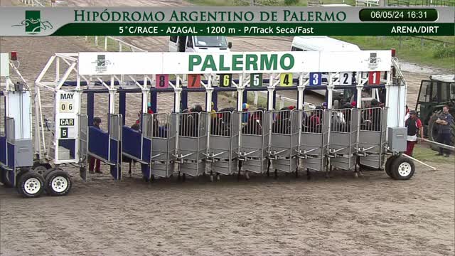 @Graciela Calderón