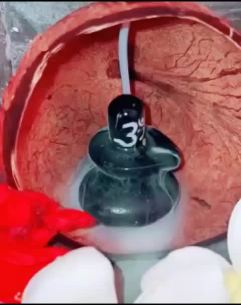 @SaJu_model_❤
