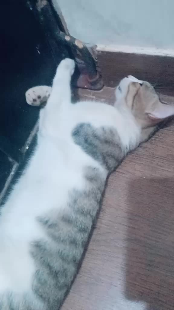 @😉
