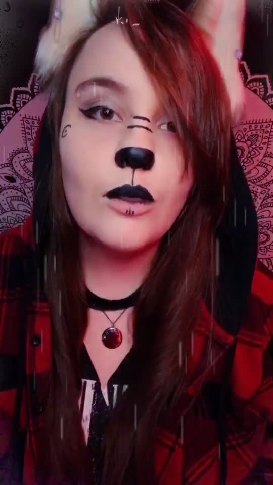 @Wolfy❤️🐺