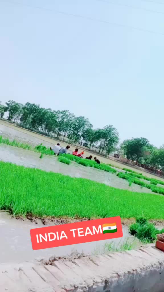 @balkaran chohan