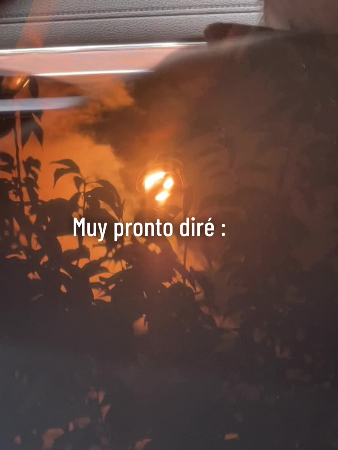 @✨Vic✨