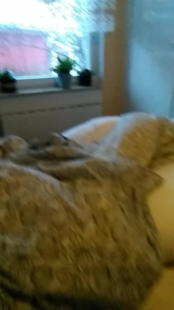 @Plushi_Eli
