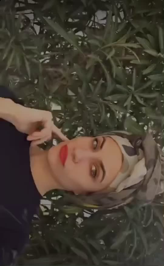 @musical.ly