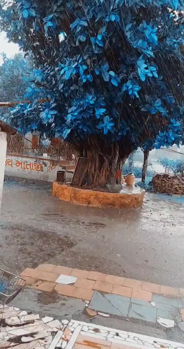 @Solankikirit96
