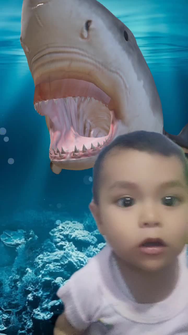 @sifafatimah470