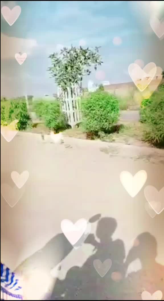 @ਹਿਮਾਂਸ਼ੂ🖤