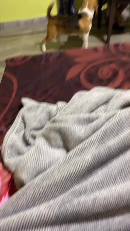 @Ankita