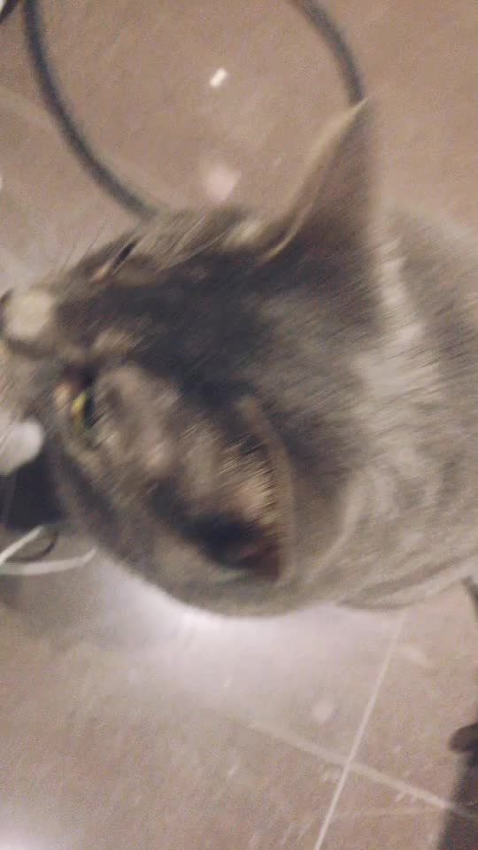 @_ᕼI_ᕼI_
