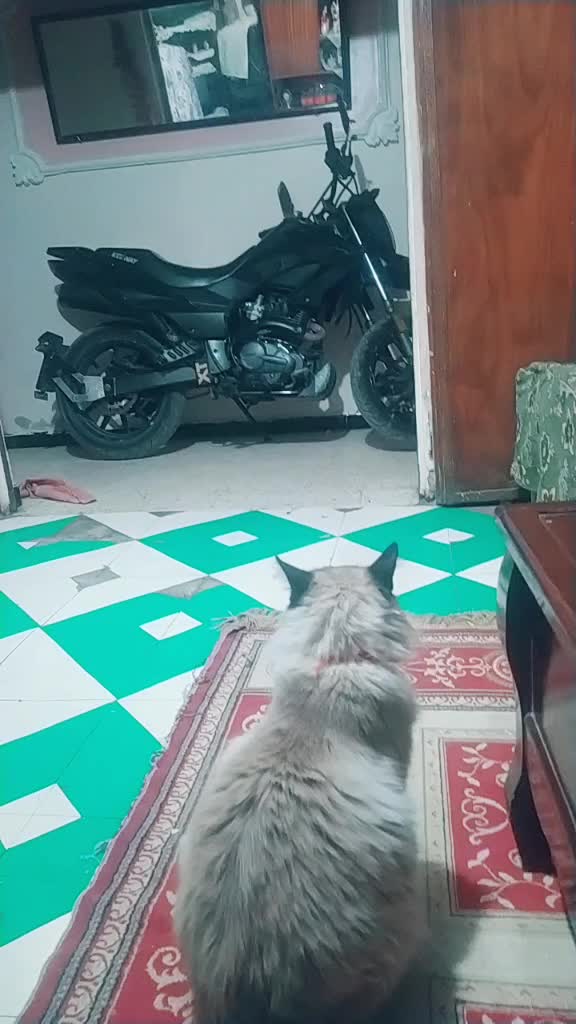 @malik yamaha