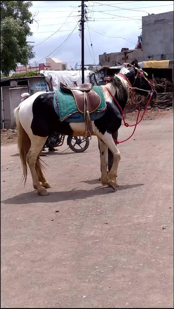 @Bharat Patil