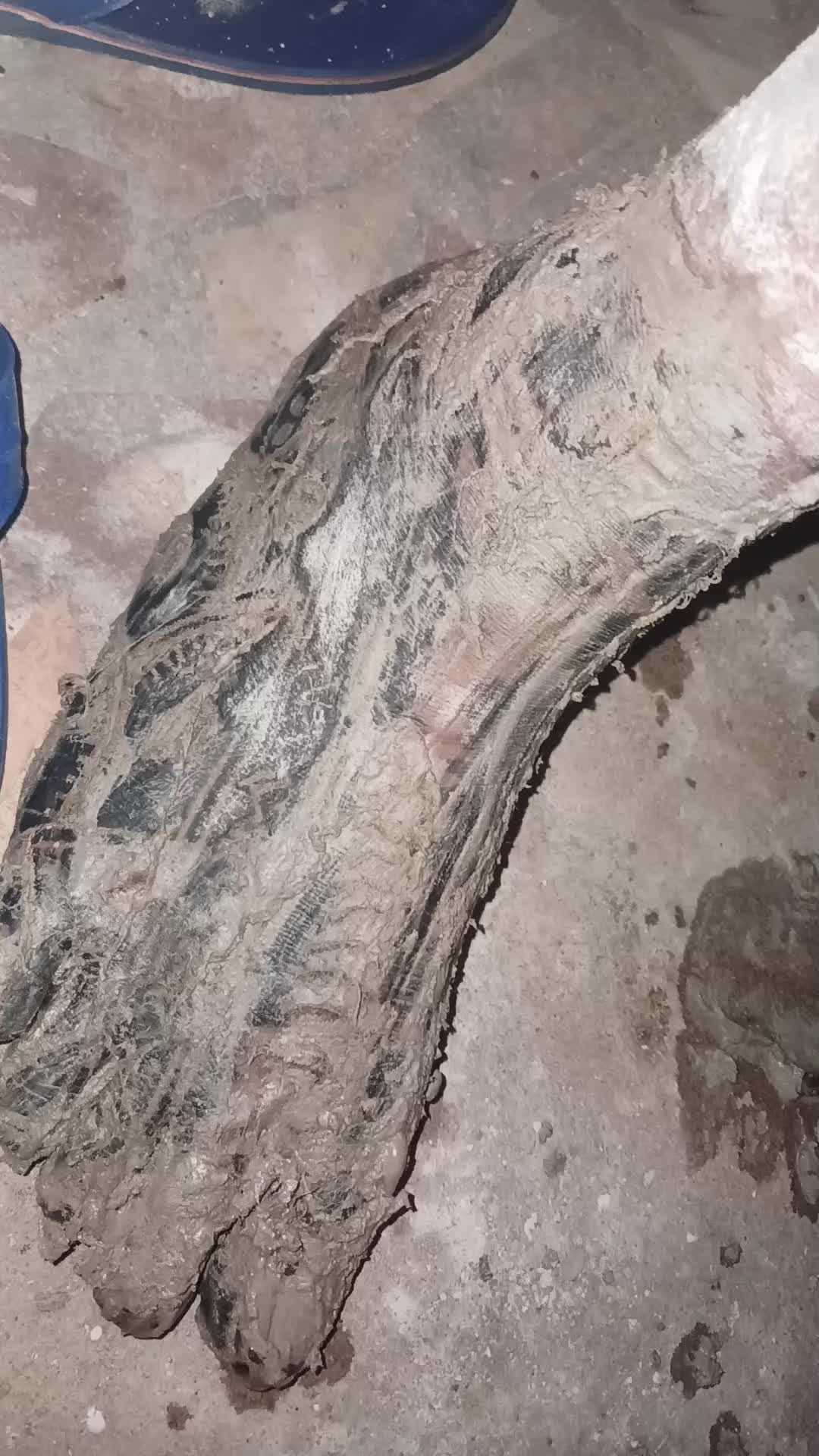 @syllabadiallolagare