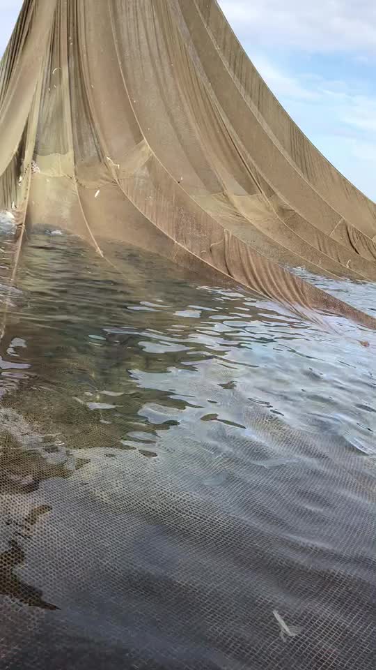 @hasanali.kaya