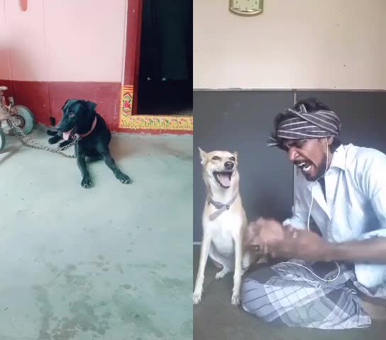 @rajesh.