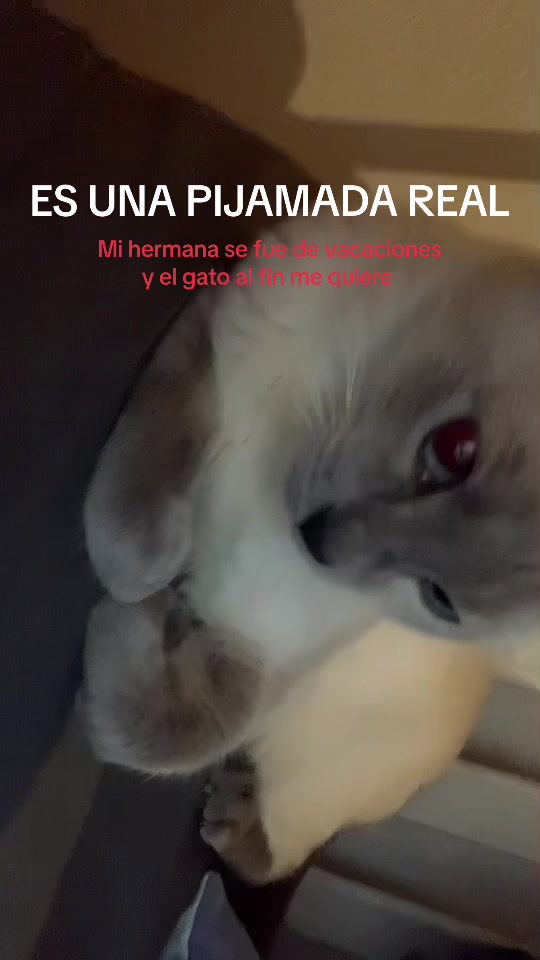 @Lia