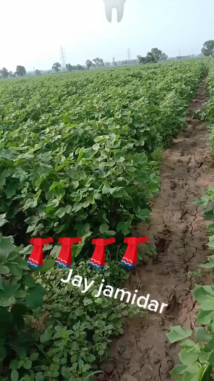 @Rohit. punia