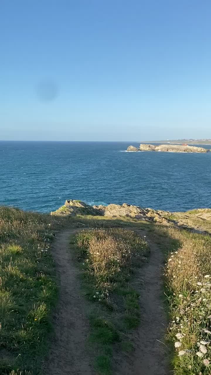 @Dicle Baybaşin