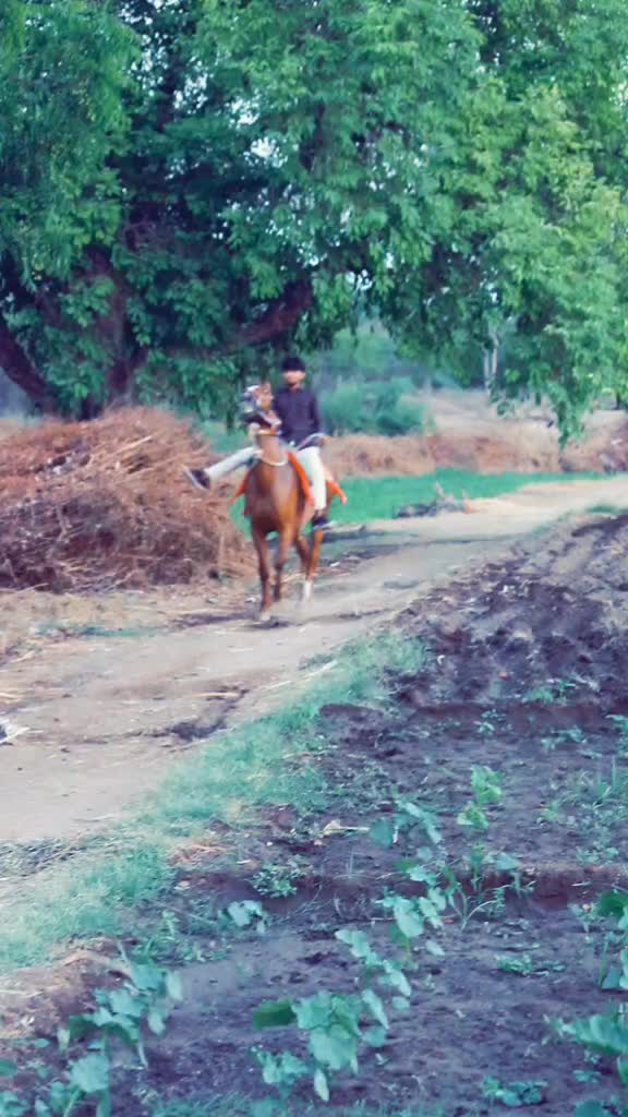 @Gohil Ombanna