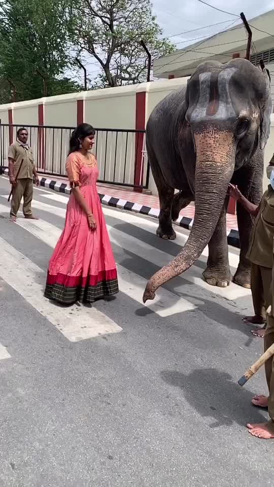 @Gauthamy
