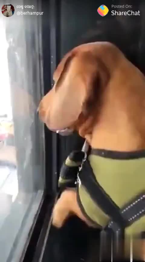@Bhagyadhar