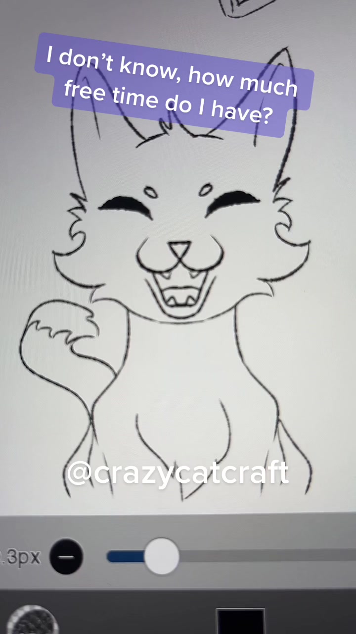 @CrazyCatCraft