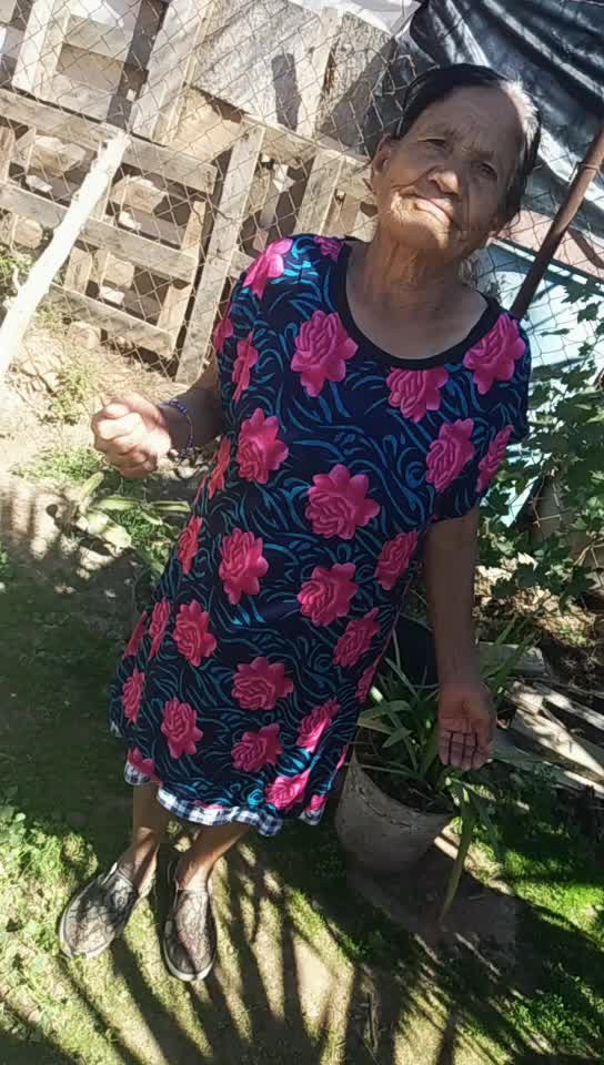 @Mamá Lola