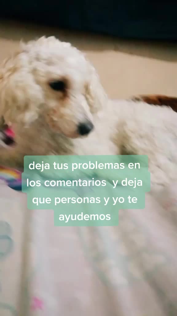 @Princesadulce&mdash;