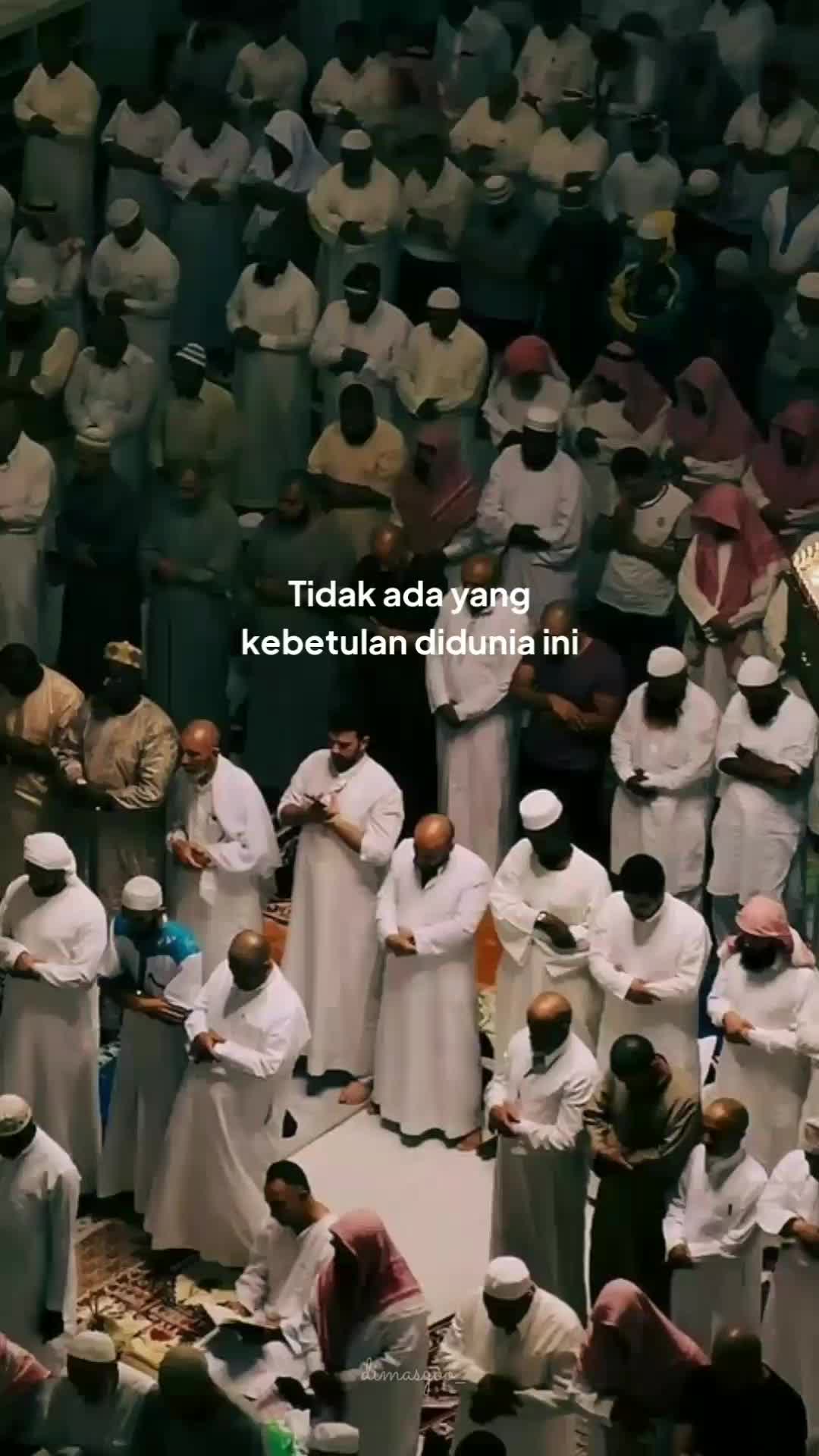 @dimdim