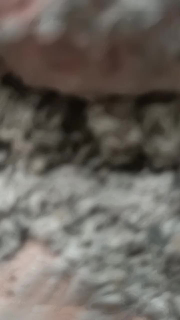 @SuryakantPanchal