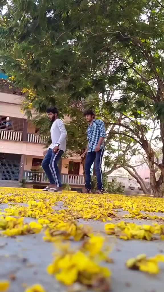 @Surya Roy