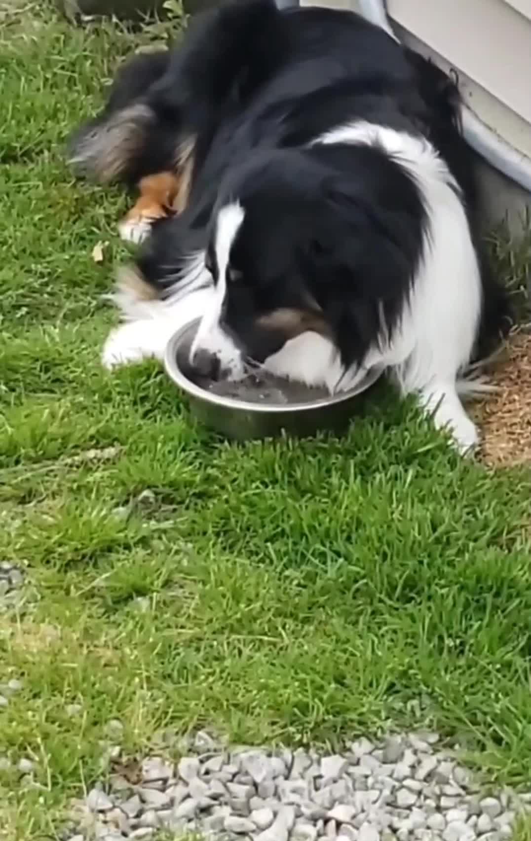 @Jett The Aussie