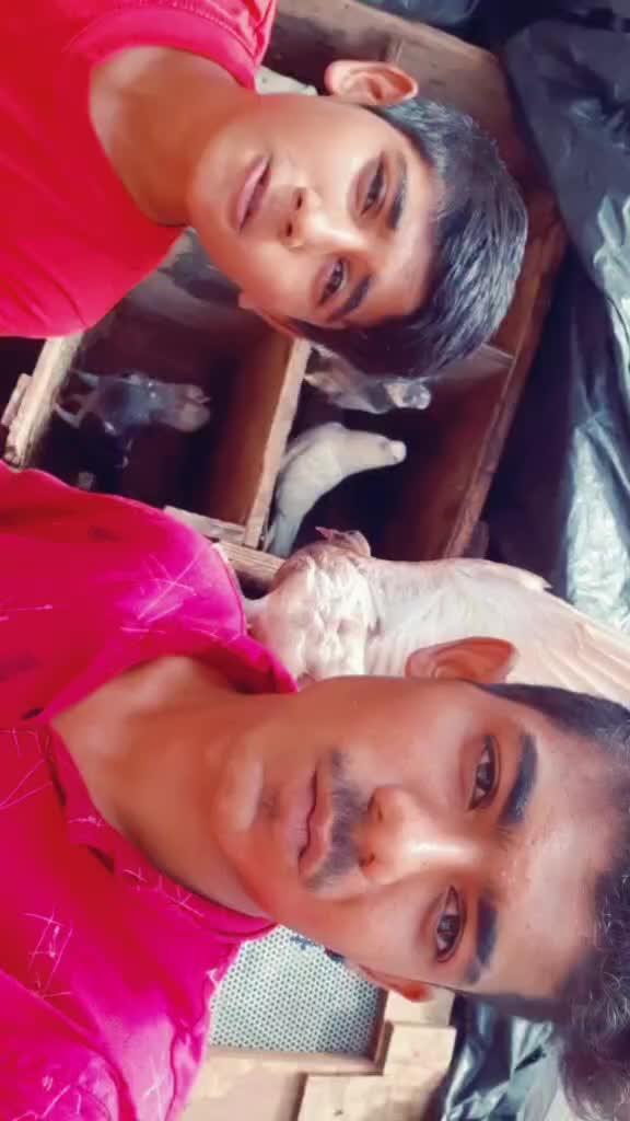 @😎 મેગવાર 😎