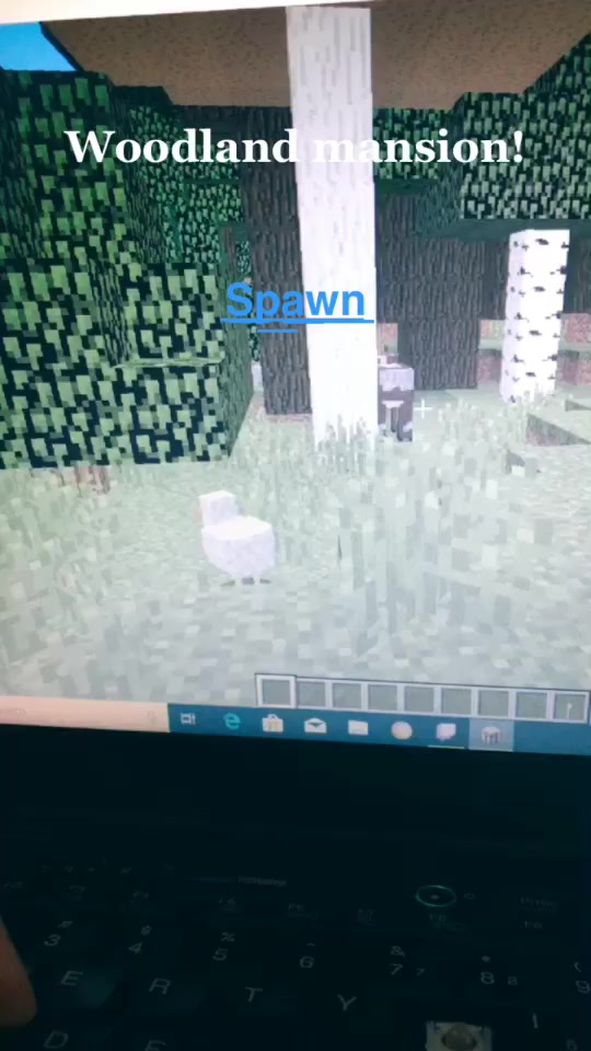@minecraft