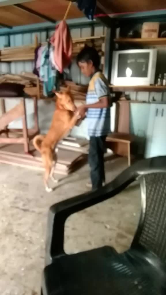 @Praveen Kumar