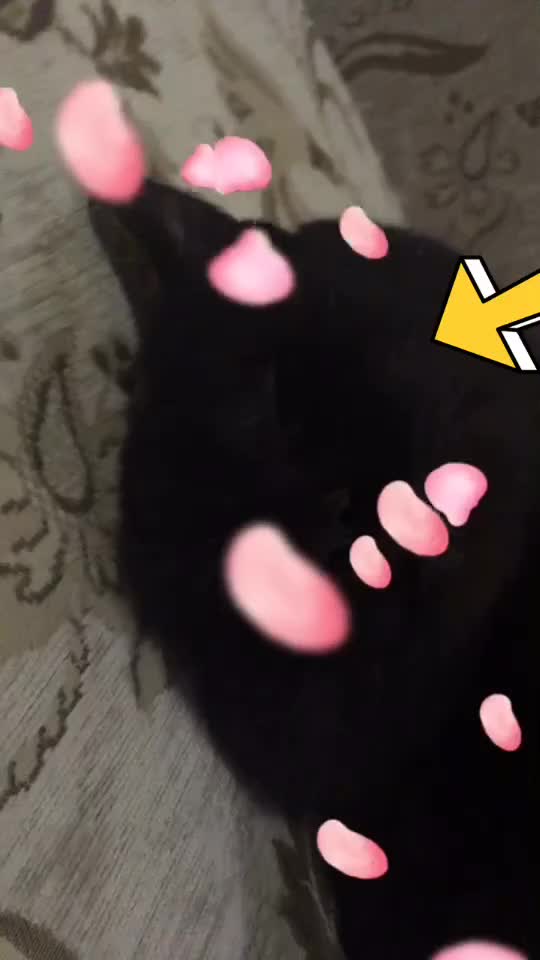 @ Valeria