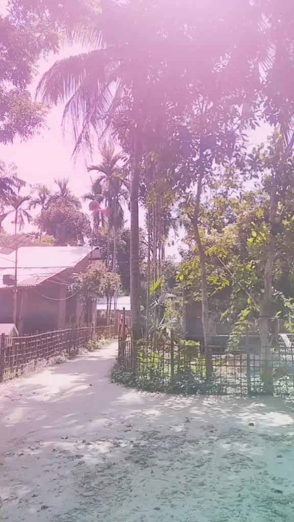 @Dipu Khan